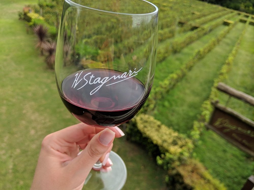 EXPERIENCIA BODEGA STAGNARI - Imagen 2