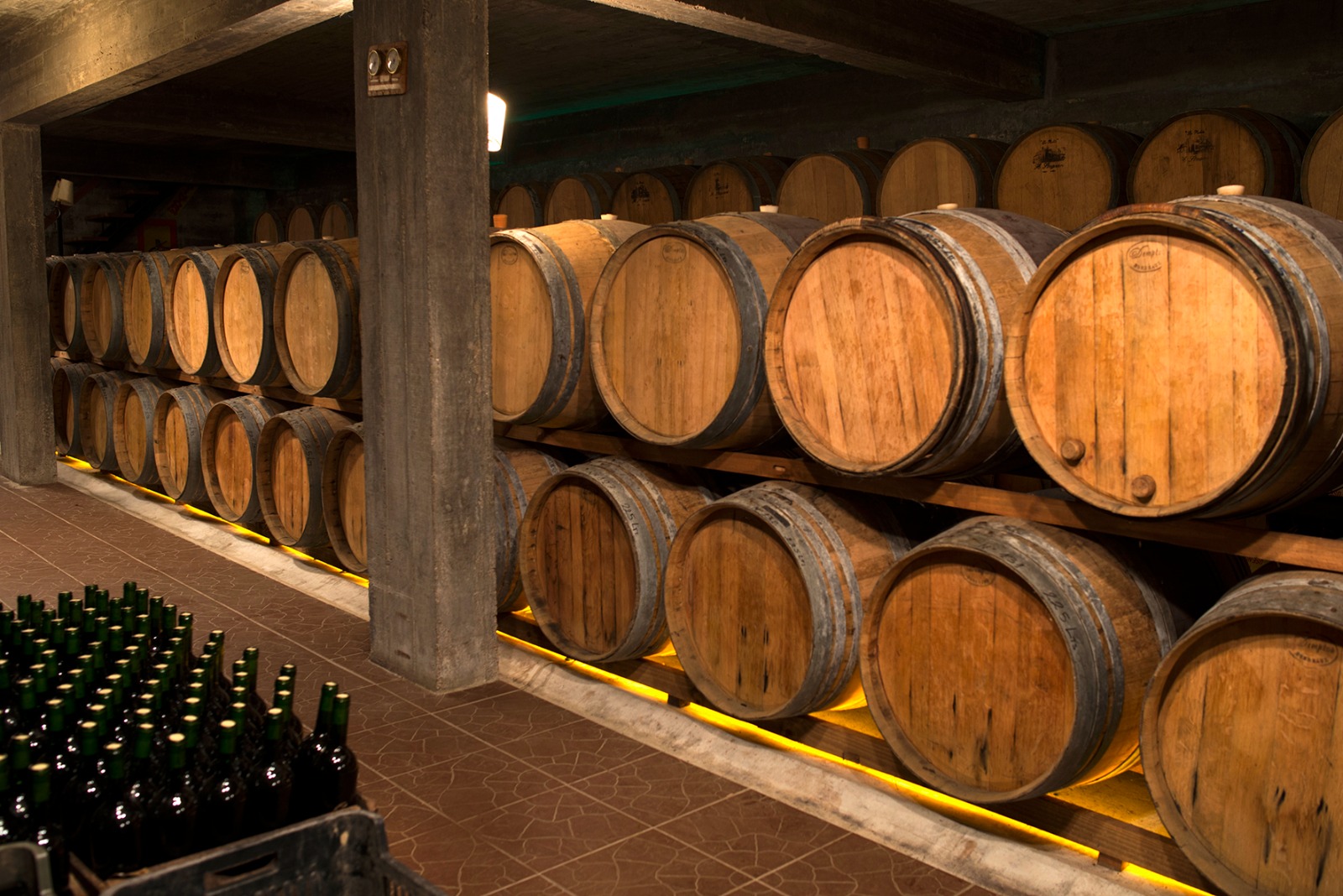 EXPERIENCIA BODEGA STAGNARI - Imagen 4