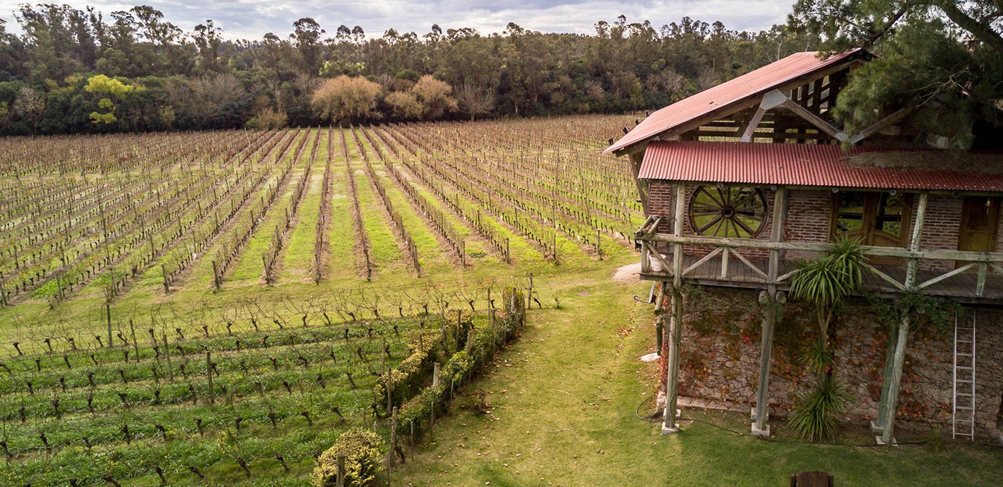 EXPERIENCIA BODEGA STAGNARI - Imagen 13